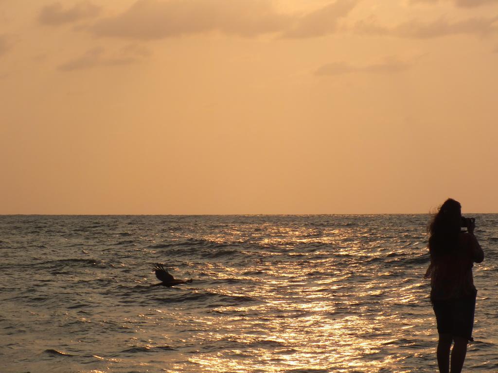 Thoms Beach Homestay Alappuzha Εξωτερικό φωτογραφία